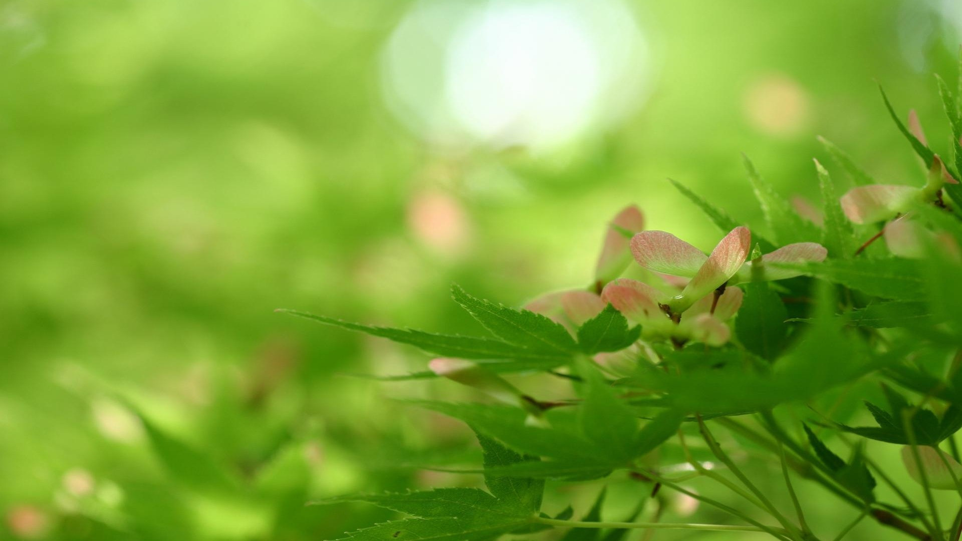 最傷感的話